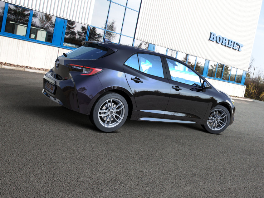 ZX100|Arctic Silver (AS) 17