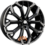 CMS C37