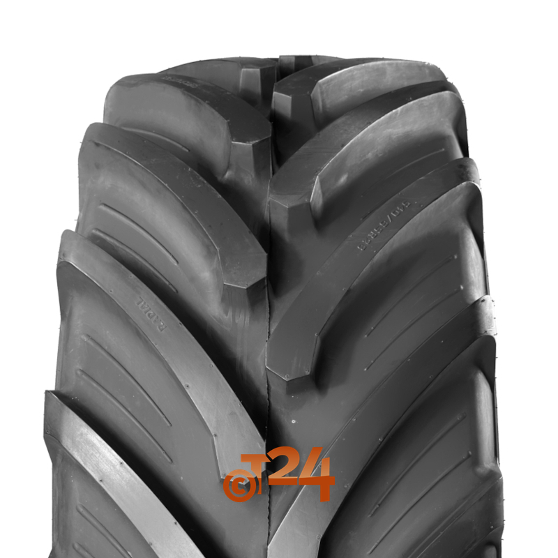 TVS EUROGRIP / 540/65 R28 (145 A8) <b>AR65 TIGERTRAC 142D</b> / Estivo