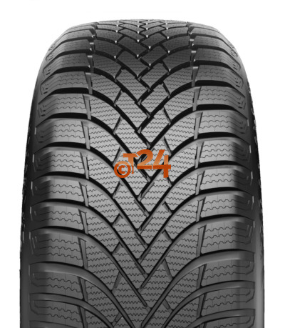 AUSTONE NIXIA WINTER PRO