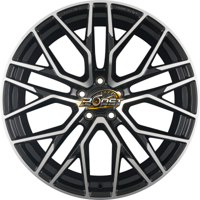 CA20 LUDWIG Black Polish (BP)
