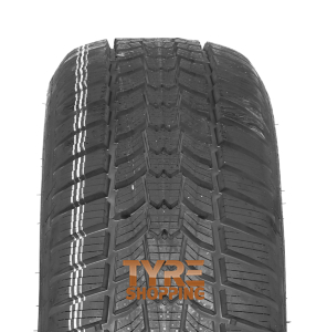 SAVA          205/55 R16 91H M+S ESKIMO HP 2