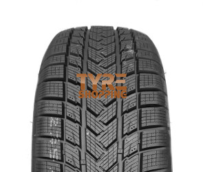 GRIPMAX E-WINTER 225/45 R17 94 V XL