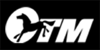CTM Logo