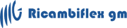 RICAMBIFLEX GM Logo