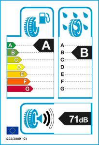 GOODYEAR F1-AS5  225/40 R19 93 V